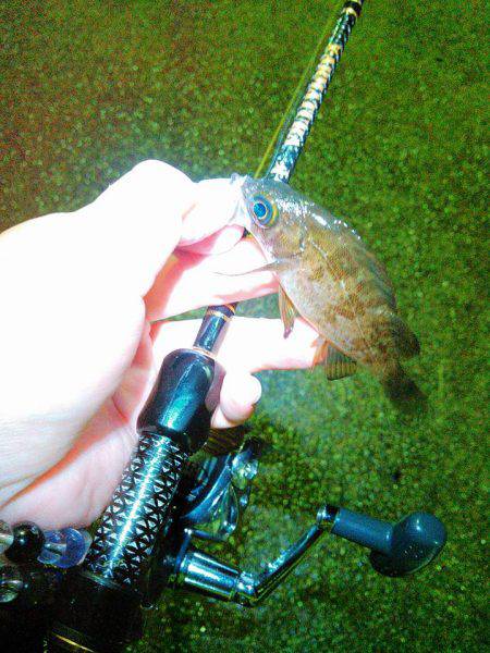 雨ばっかりやん